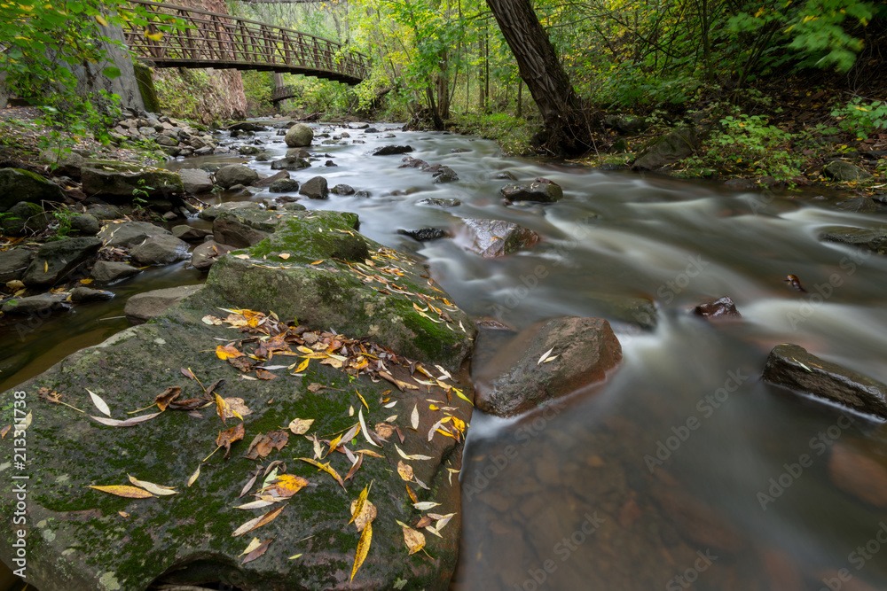 A tranquil forest scene with a gently flowing stream lined by rocks and fallen leaves. In the background, a wooden footbridge crosses the stream, surrounded by lush green foliage.