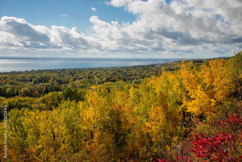 Scenic view of a vast landscape with vibrant yellow and green autumn trees, a large body of water in the background, and a sky filled with fluffy clouds. Bright red foliage is visible in the foreground.