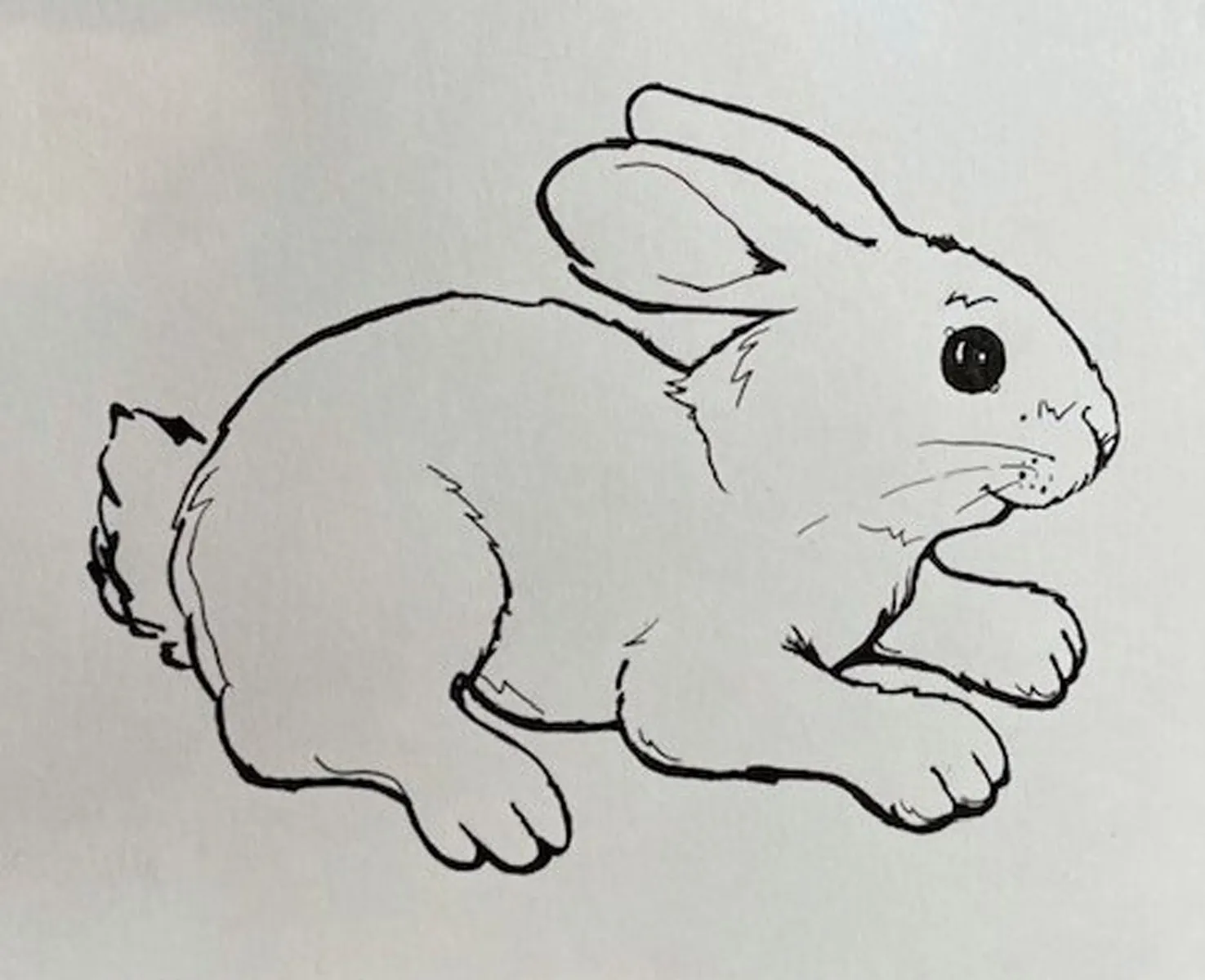 Black and white line drawing of a rabbit in a crouched position. The rabbit has an alert expression, with long ears and a fluffy tail, set against a plain background.